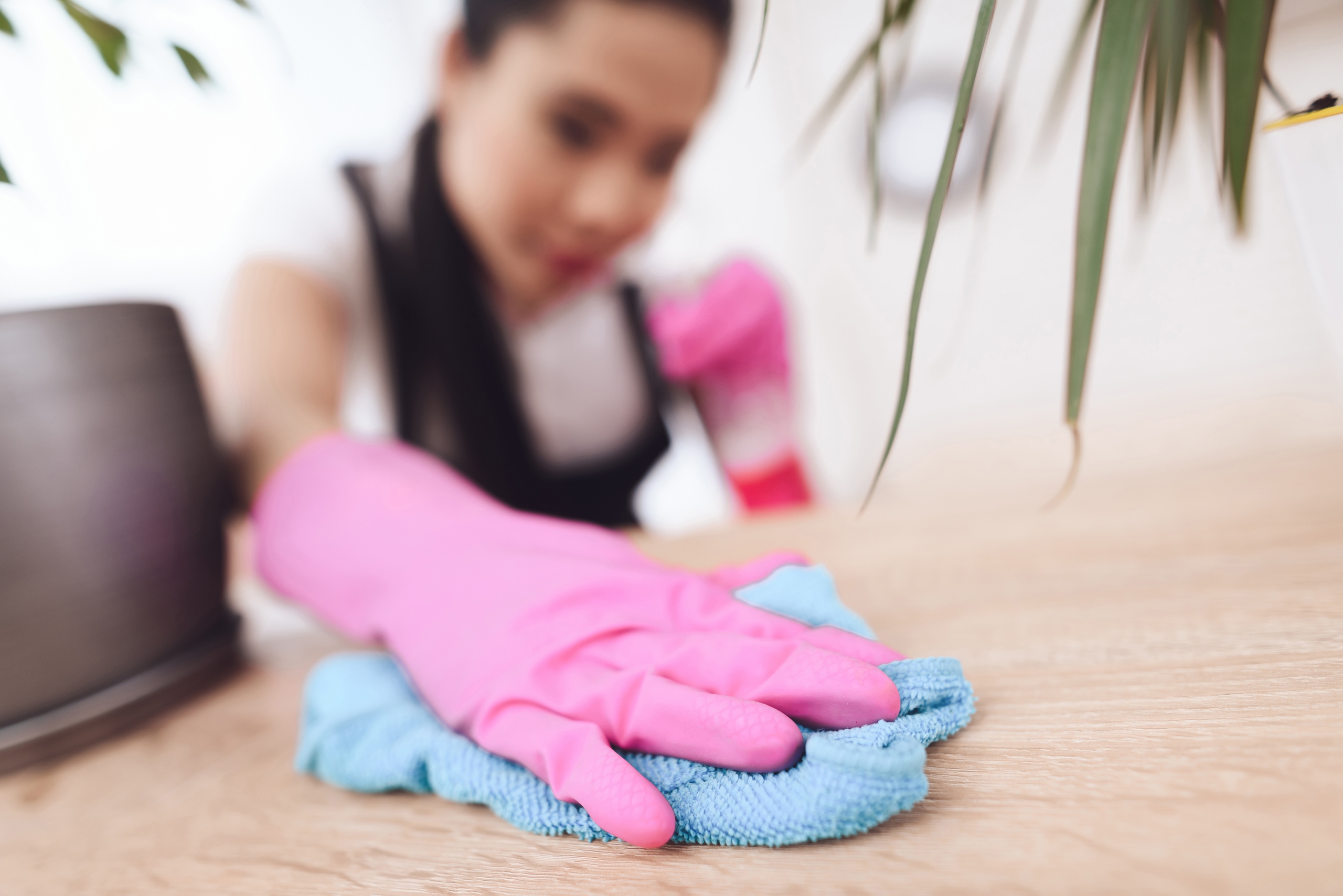 cleaning services