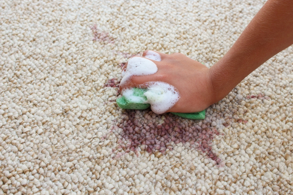 carpet cleaning carpet cleaning